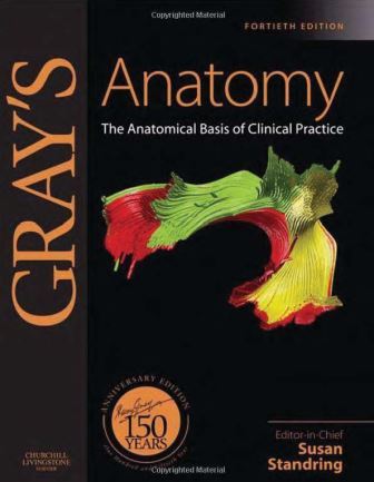 Grays Anatomy - Couverture.jpg